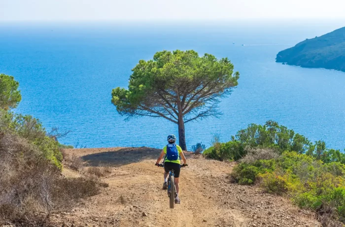 Bici