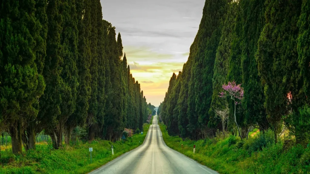 bolgheri_articolo_2_16_9