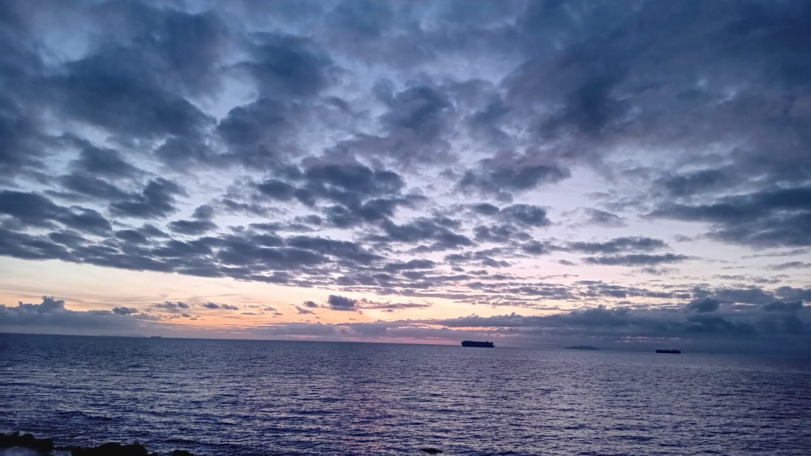 IMG-20240202-WA0004