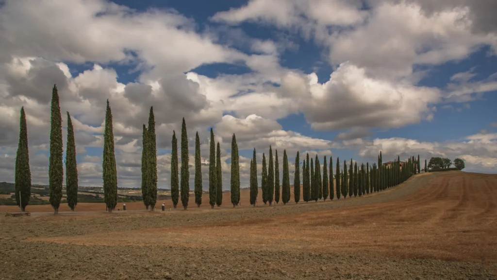 Turismo Lento Toscana