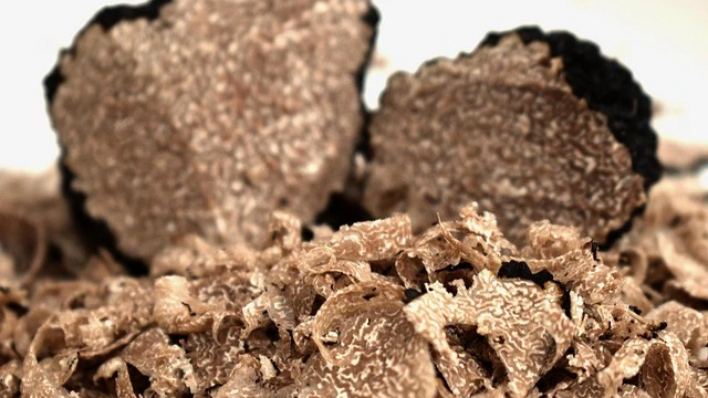 fresh-truffles-4539044_640